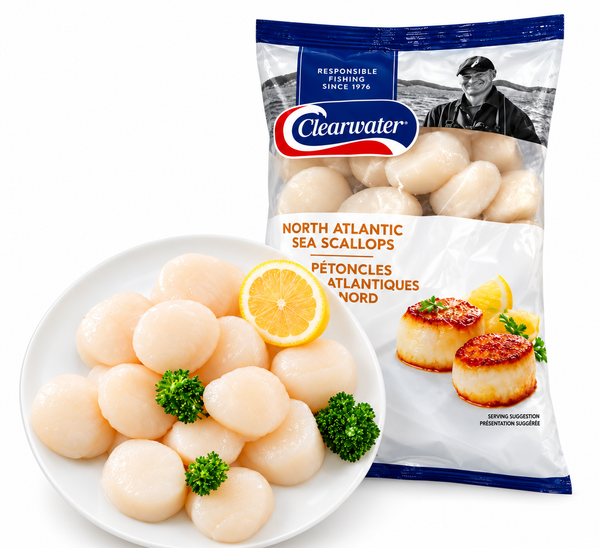 Large Canadian Sea Scallops - 1lb Packs